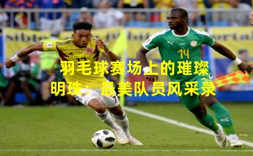 羽毛球赛场上的璀璨明珠:最美队员风采录